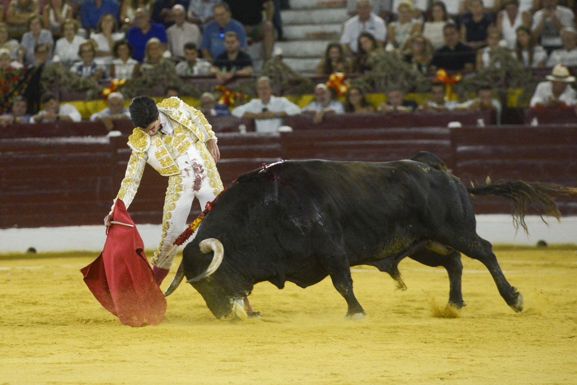 La Corrida de la Prensa de Murcia, en imágenes