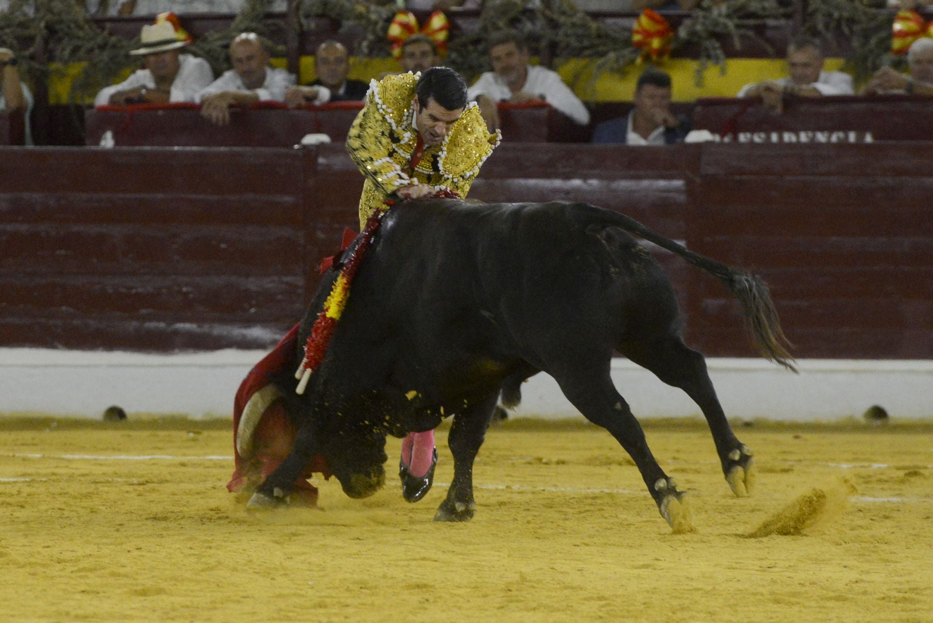 La Corrida de la Prensa de Murcia, en imágenes