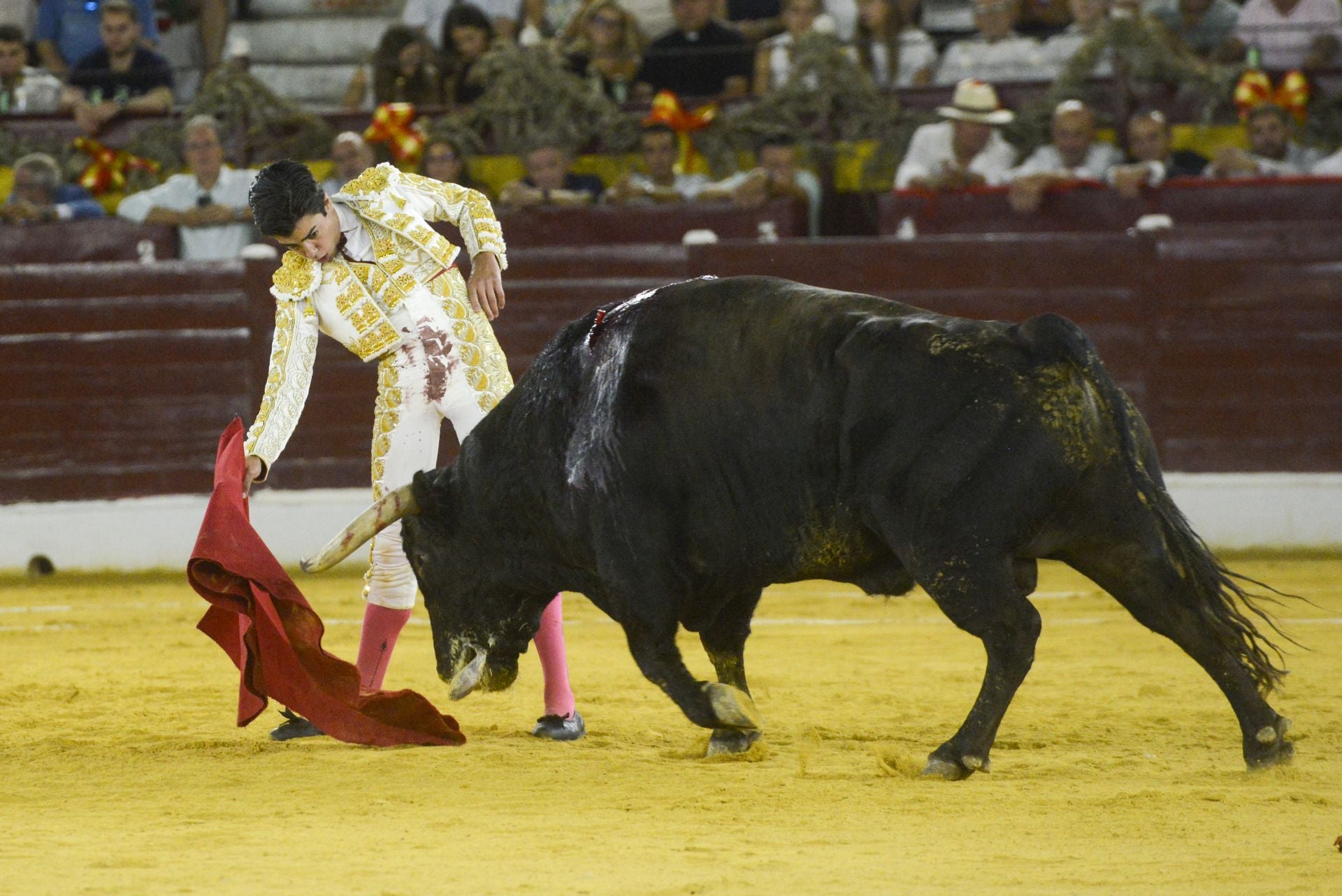 La Corrida de la Prensa de Murcia, en imágenes