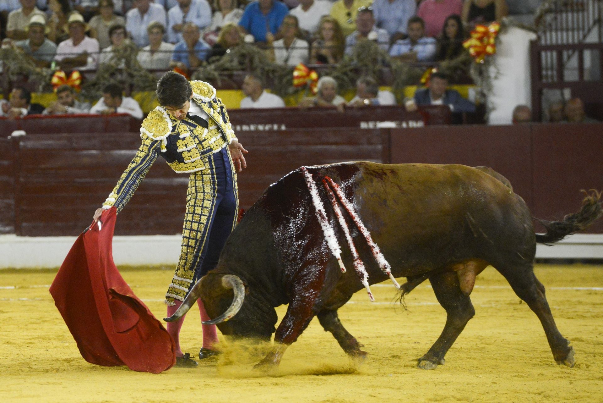 La Corrida de la Prensa de Murcia, en imágenes