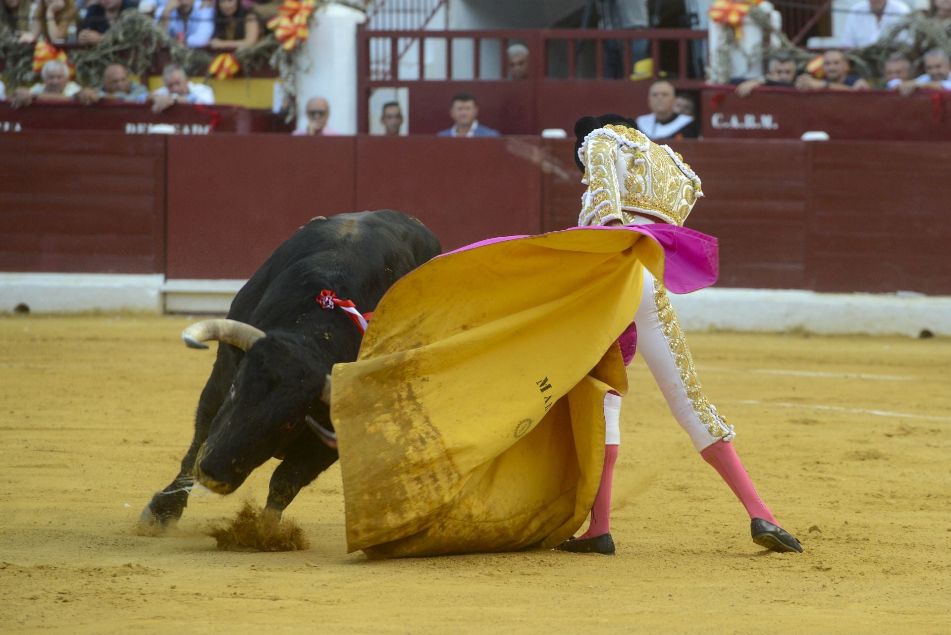 La Corrida de la Prensa de Murcia, en imágenes
