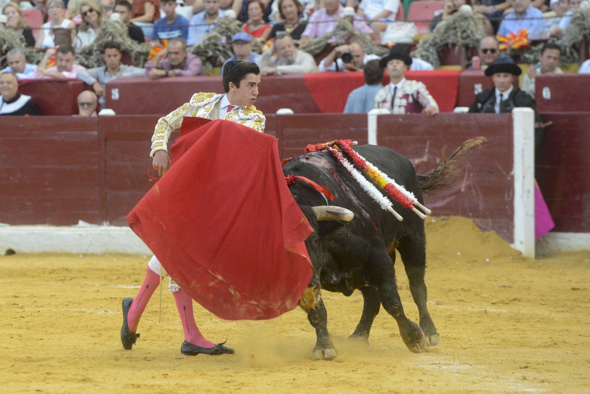 La Corrida de la Prensa de Murcia, en imágenes