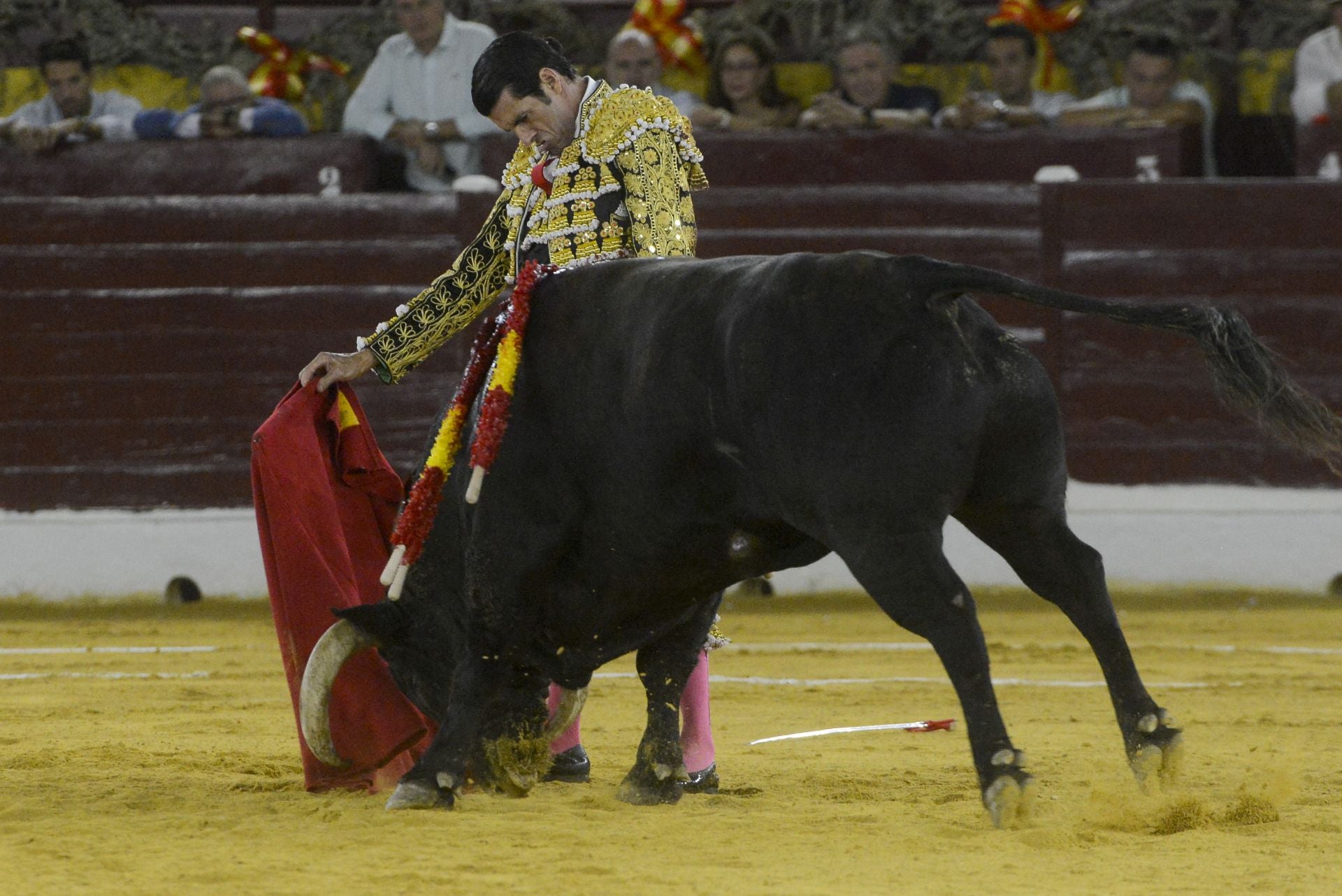 La Corrida de la Prensa de Murcia, en imágenes