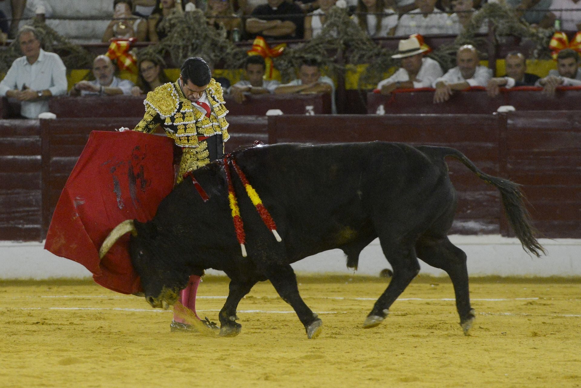 La Corrida de la Prensa de Murcia, en imágenes