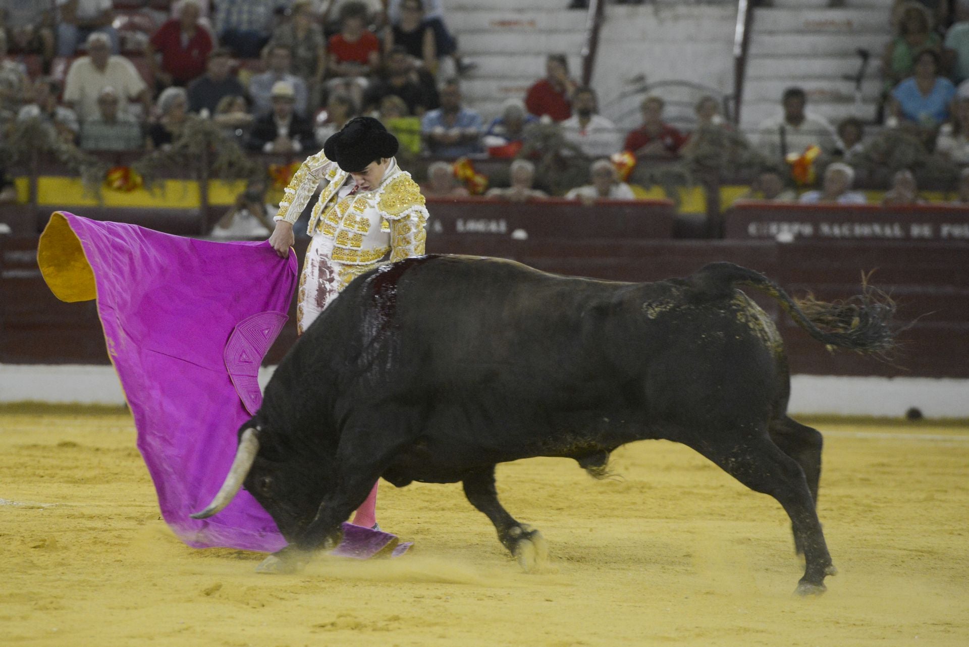 La Corrida de la Prensa de Murcia, en imágenes