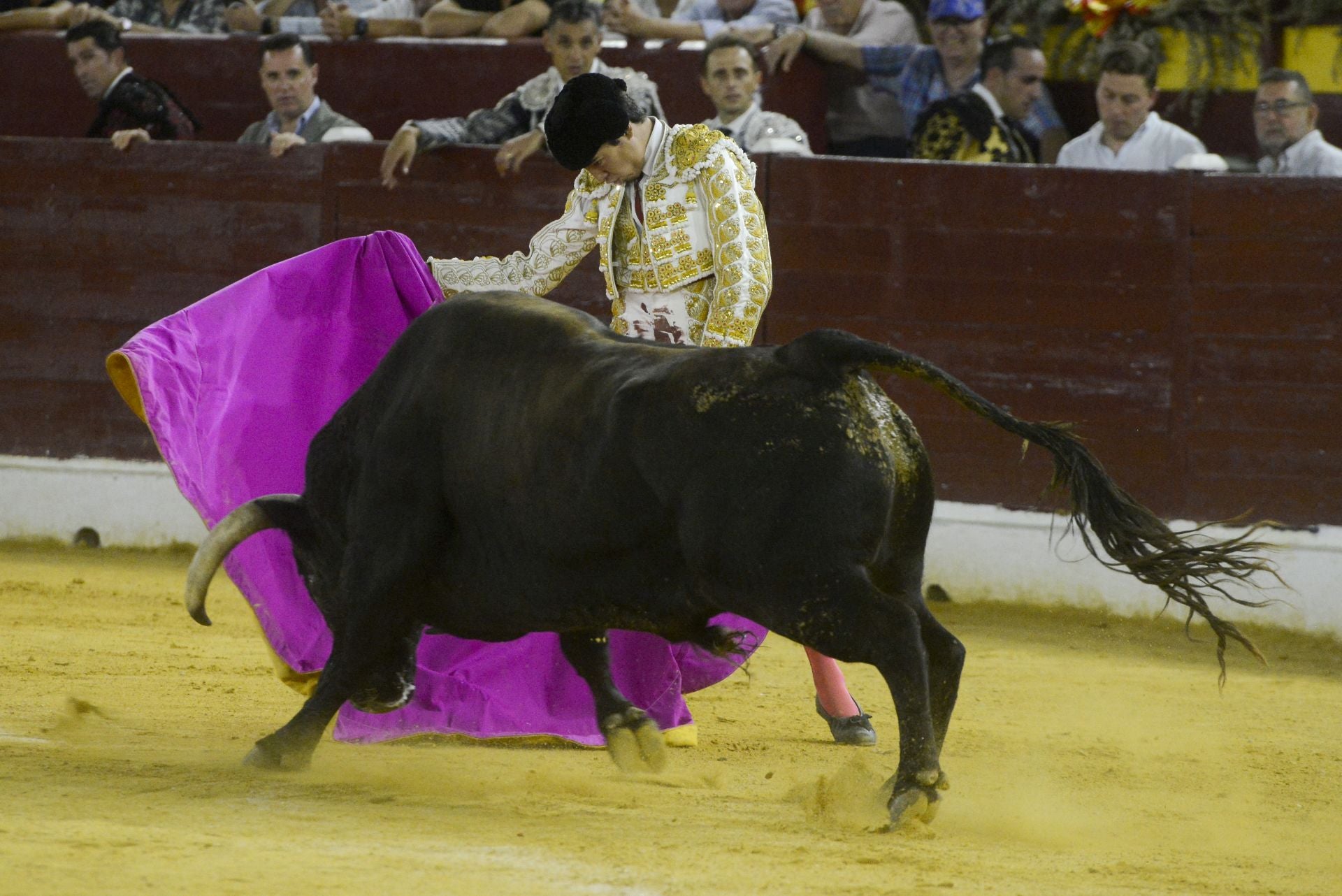 La Corrida de la Prensa de Murcia, en imágenes