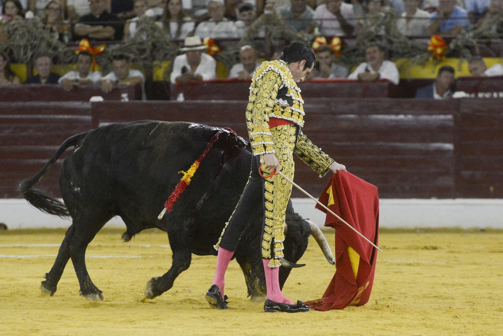 La Corrida de la Prensa de Murcia, en imágenes