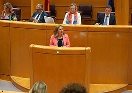 La consejera Conchita Ruiz durante su comparecencia de este martes en el Senado.