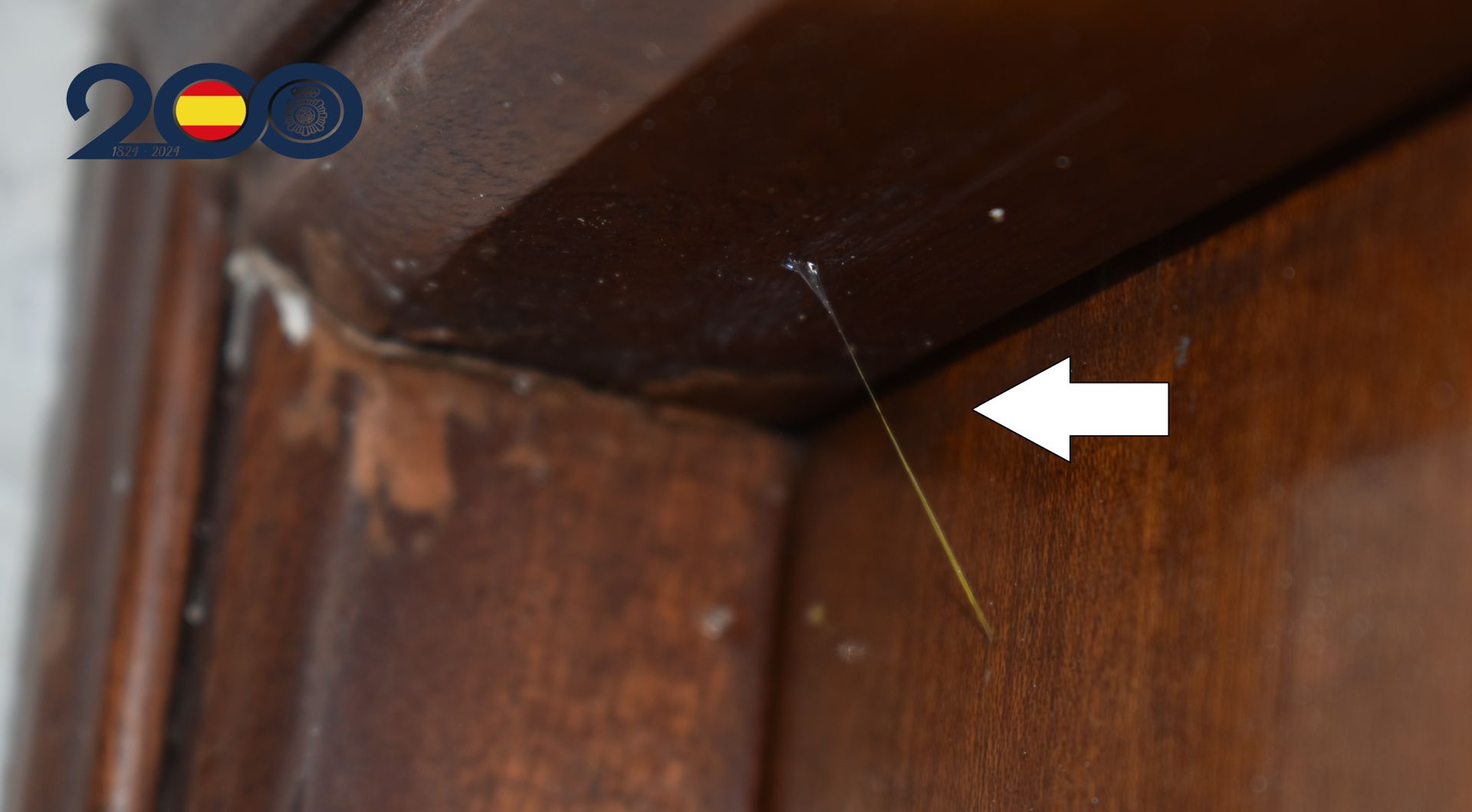 El 'hilo invisible' de pegamento que utilizaban los ladrones para saber cuando entrar a las casas.