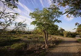 Imagen de archivo de la zona del meandro de Vivillo en Rincon de Benisconia.