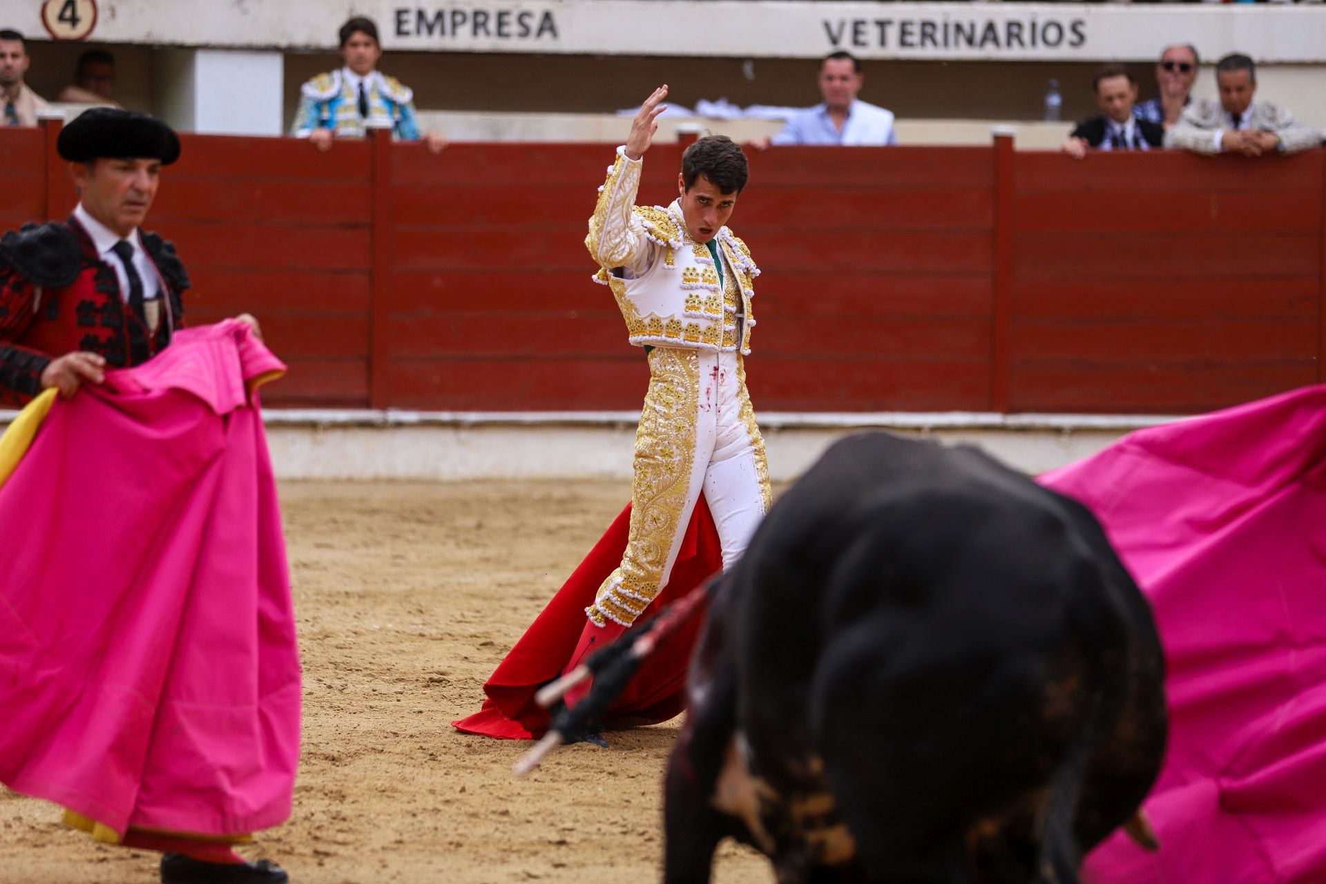 En imágenes, la corrida de toros de este sábado en Abarán