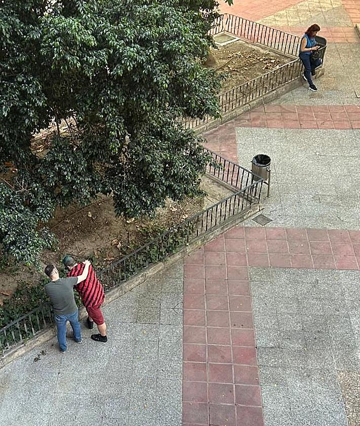 Imagen secundaria 2 - Los residentes denuncian consumo de drogas a plena luz del día.