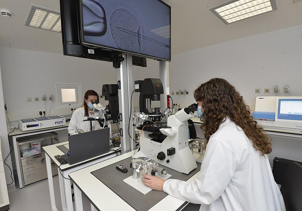 Laboratorio del equipo de reproducción asistida de la Arrixaca.