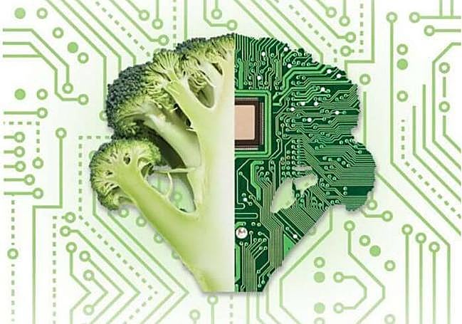 Alegoría a la incorporación de las nuevas tecnoogías al campo.