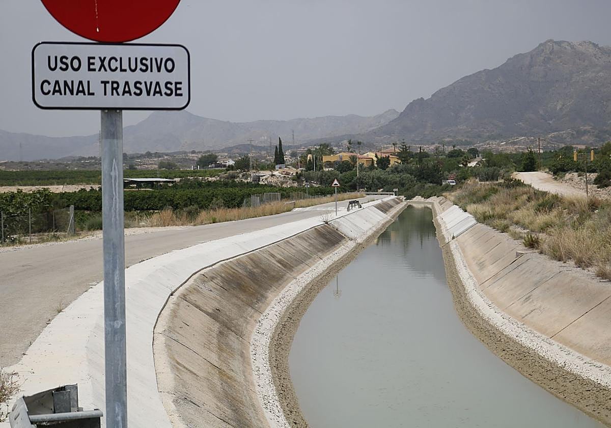 El canal del Trasvase, en una imagen de archivo.