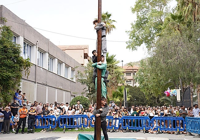 Celebración de la cucaña.