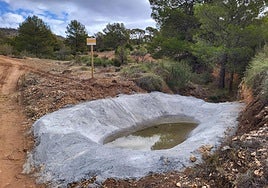 La Comunidad impulsa la conservación de la fauna protegida en Jumilla, Lorca y Moratalla
