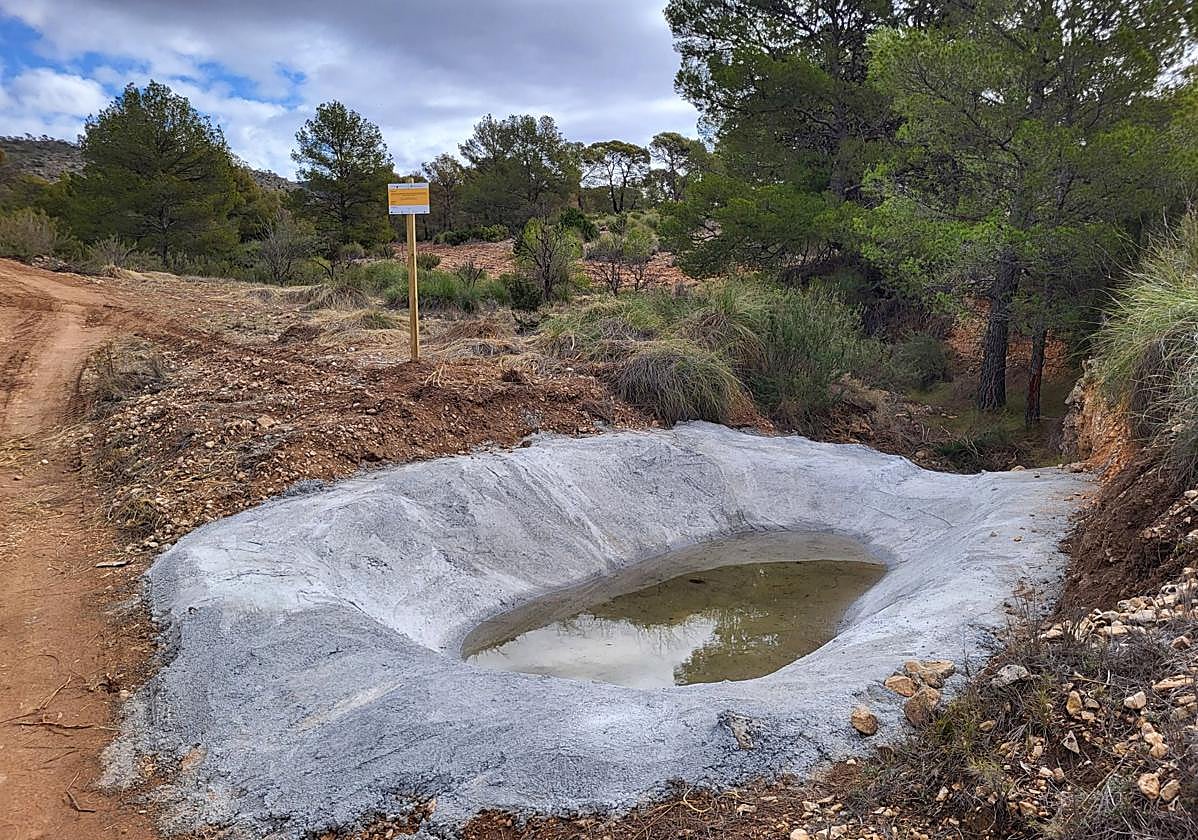 La Comunidad impulsa la conservación de la fauna protegida en Jumilla, Lorca y Moratalla