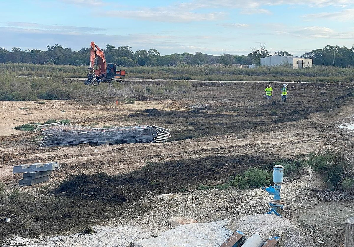 Acondicionamiento de espacios junto a la desembocadura del río Segura.