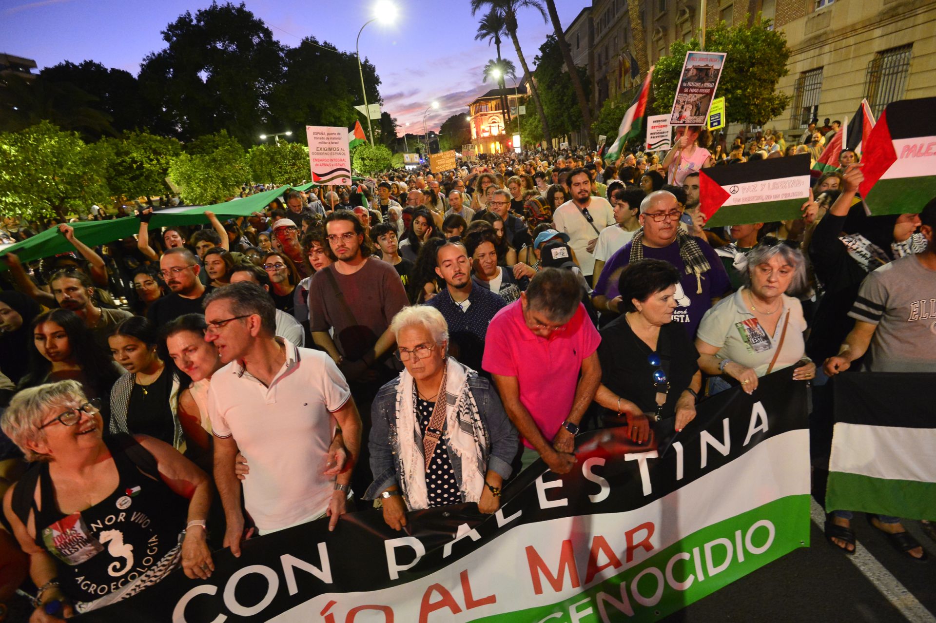 La masiva manifestación por Gaza en Murcia, en imágenes