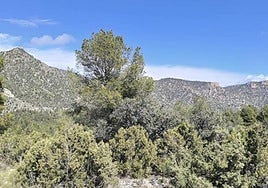 Monte El Bebedor en el municipio de Moratalla.
