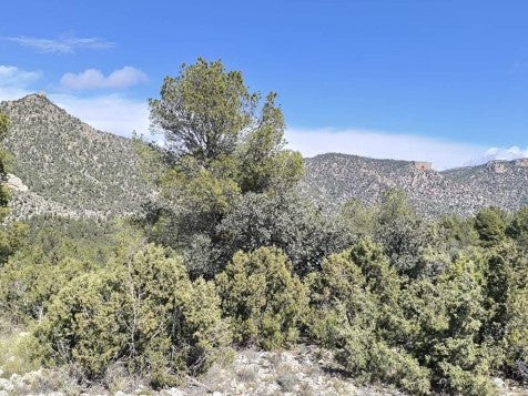 Monte El Bebedor en el municipio de Moratalla.
