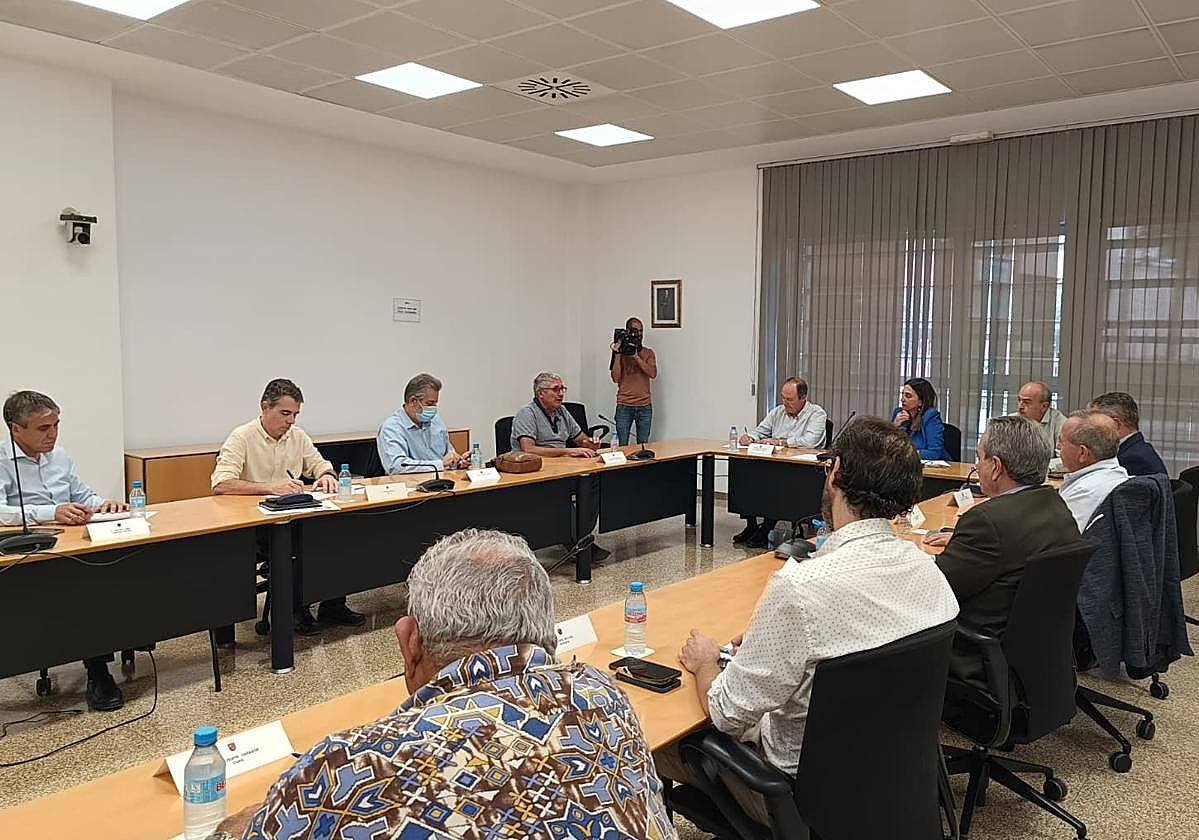 La consejera Sara Rubira durante la reunión que ha mantenido este miércoles con representantes de COAG, Asaja, UPA, Fecoam, Proexport y Apoexpa.