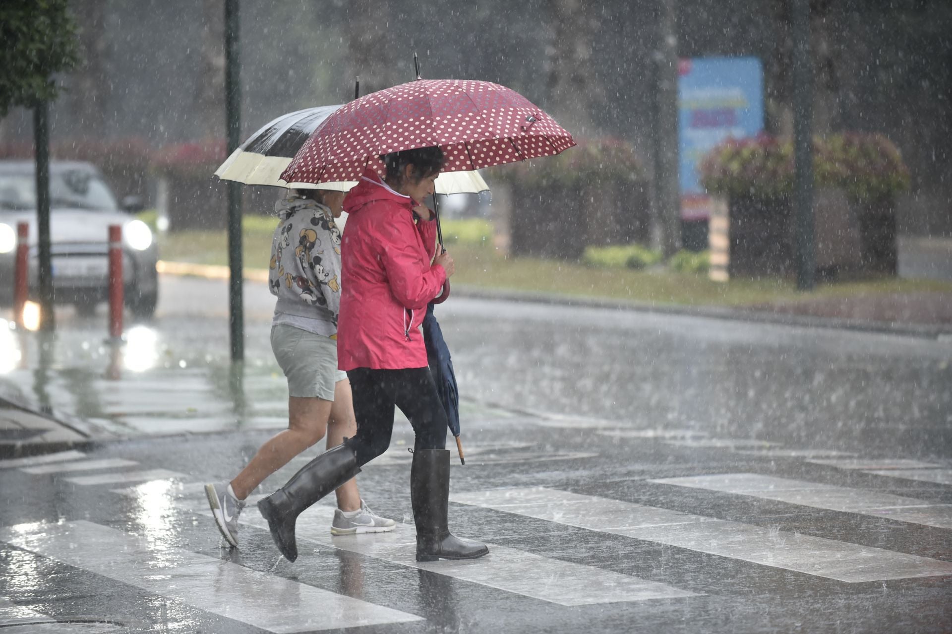 Las imágenes de la tormenta y la lluvia por la dana &#039;Alice&#039; este jueves en la Región de Murcia