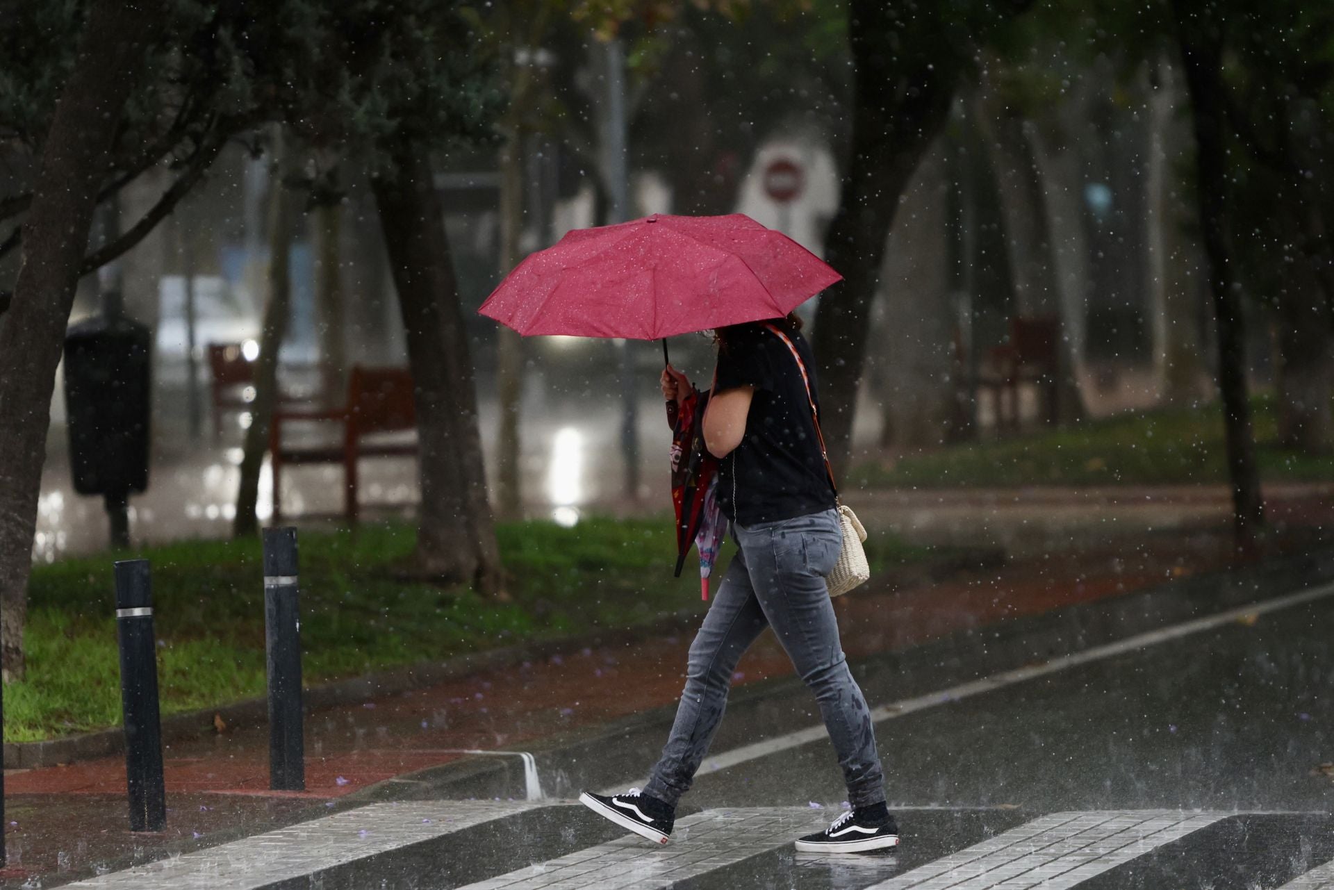 Las imágenes de la tormenta y la lluvia por la dana &#039;Alice&#039; este jueves en la Región de Murcia