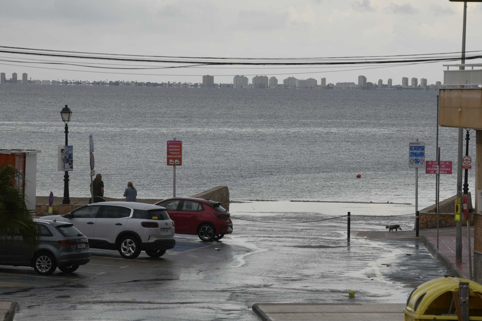 Las imágenes de la tormenta y la lluvia por la dana &#039;Alice&#039; este jueves en la Región de Murcia