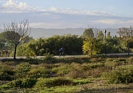 Zona próxima al meandro de Vivillo del río Segura.