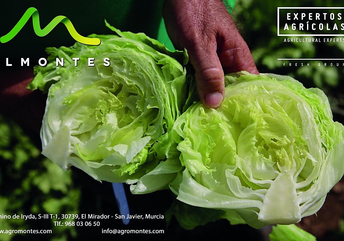 Agromontes consolida la presencia de sus productos de hoja a nivel internacional