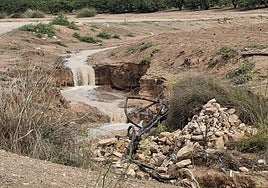 Invernaderos caídos y almacenes inundados en la zona cero de la dana