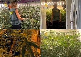 Imágenes de la Guardia Civil entrando al lugar.