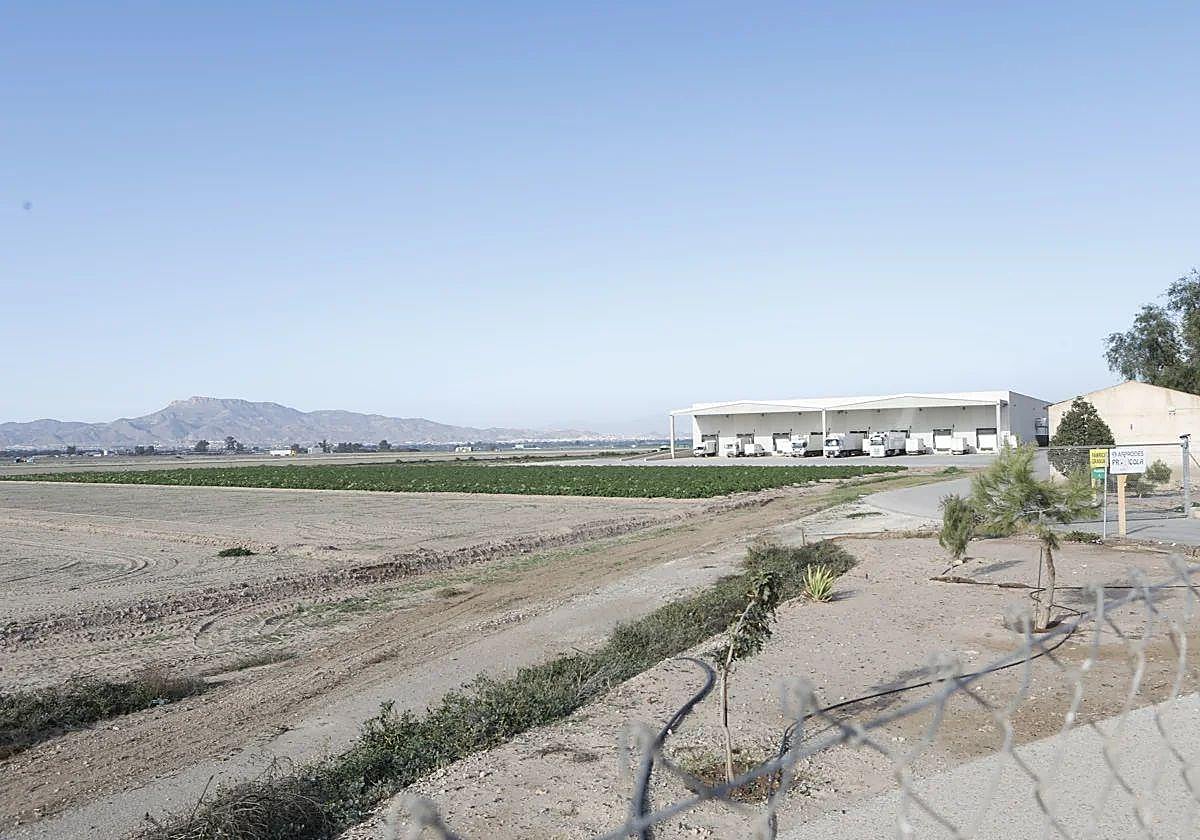 Terrenos de la pedanía de Purias afectados por los planes de riesgo de inundación.