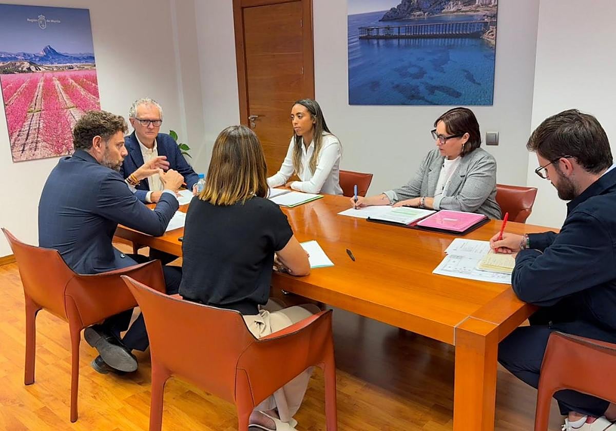 Encuentro de ediles de Alhama con el consejero de Salud.