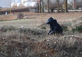 Un técnico especialista en desactivación de explosivos inspecciona un artefacto junto a una fábrica de la Región. | Vídeo de homenaje por el 50 aniversario.