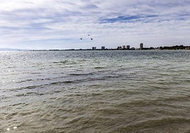 Panorámica del Mar Menor este lunes, con el agua en tonos marrones, realizada desde Lo Pagán.