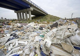 Basuras junto a la mota del Reguerón bajo la Avenida de Levante, uno de los principales vertederos ilegales detectados.