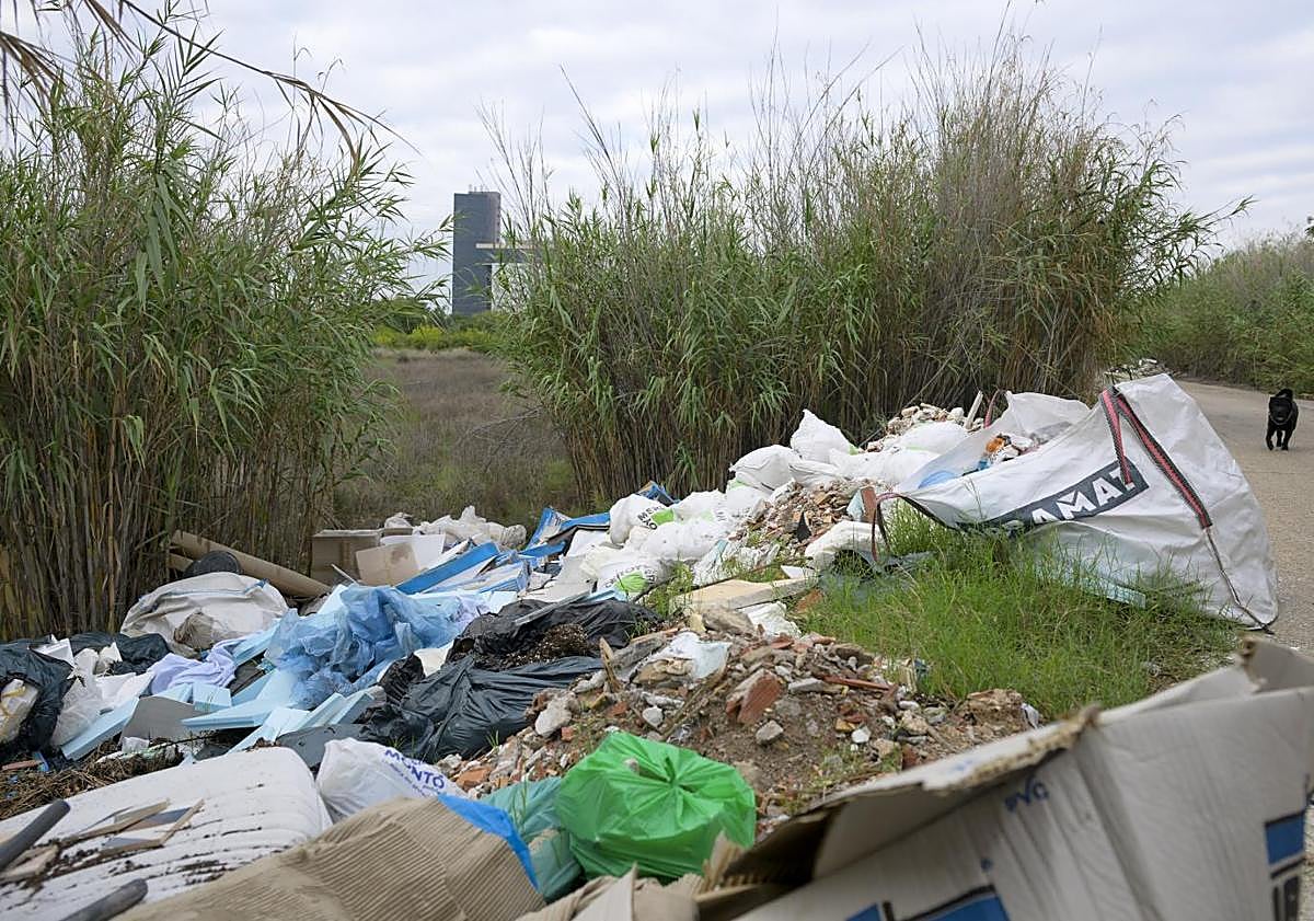 Imagen principal - Arriba: Basura en el Camino de la Acequia Vieja de Churra. Abajo: Vertidos ilegales en Joven Futura y en la mota del Reguerón bajo la Avenida de Levante.