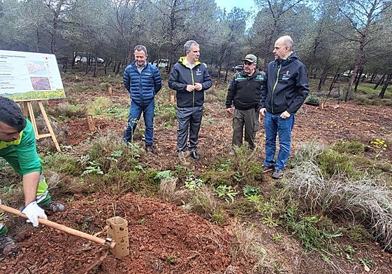 El consejero de Medio Ambiente, Universidades, Investigación y Mar Menor, Juan María Vázquez, visita en Calblanque las actuaciones de silvicultura adaptativa.