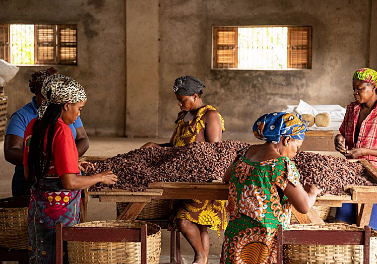 Para lograrlo, han lanzado de la mano de Kankel Cacao, la marca 'Cacao Feliz', un chocolate elaborado con cacao procedente de la cooperativa CECAQ11, que aglutina a más de mil pequeños productores de Santo Tomé y Príncipe, comprometidos con la ecología, el comercio justo, y el desarrollo de las familias agricultoras.