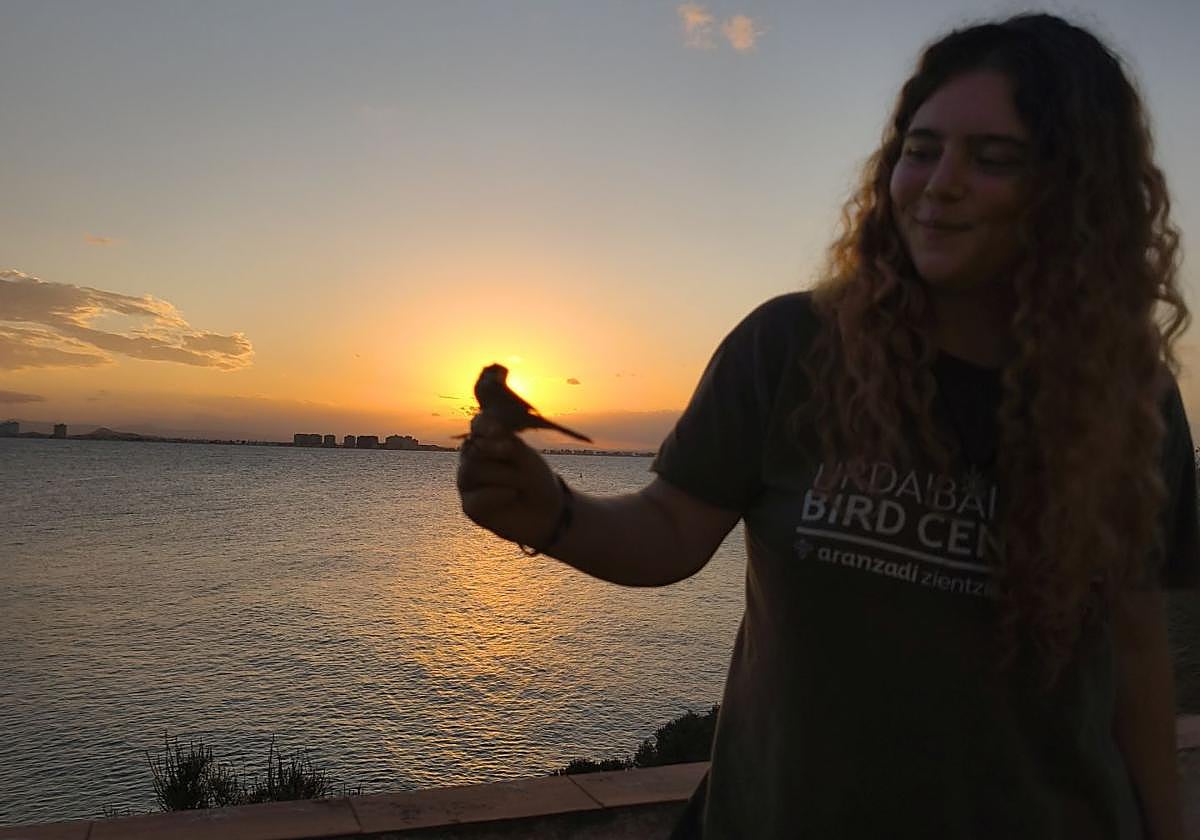 Anillamiento de aves a su paso por Isla Grosa