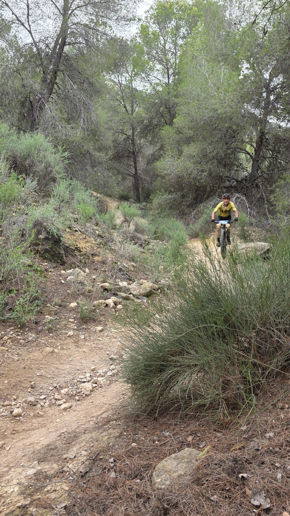 La Integral de la Cabra 2025, en imágenes