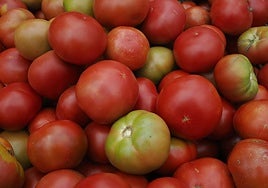 Tomates.