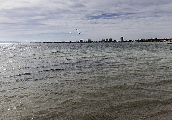 Estado del Mar Menor la pasada semana, desde las playas de San Pedro.