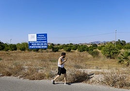 Un hombre camina junto a unas parcelas en el municipio de Murcia, en las que se anuncia la construcción de un residencial.