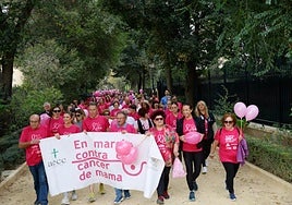 Marcha solidaria contra el cáncer por Las Alamedas, ayer.
