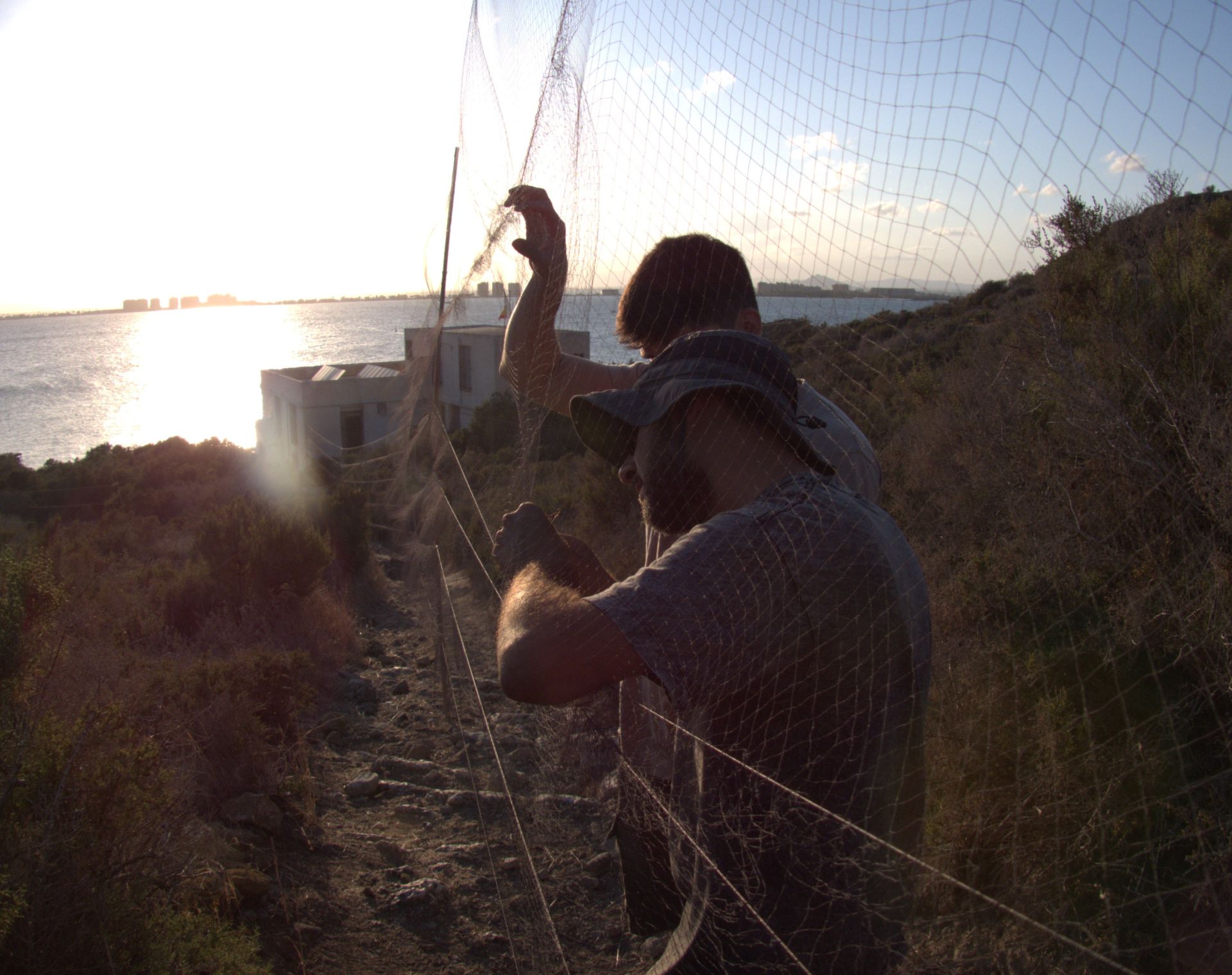Anillamiento de aves a su paso por Isla Grosa