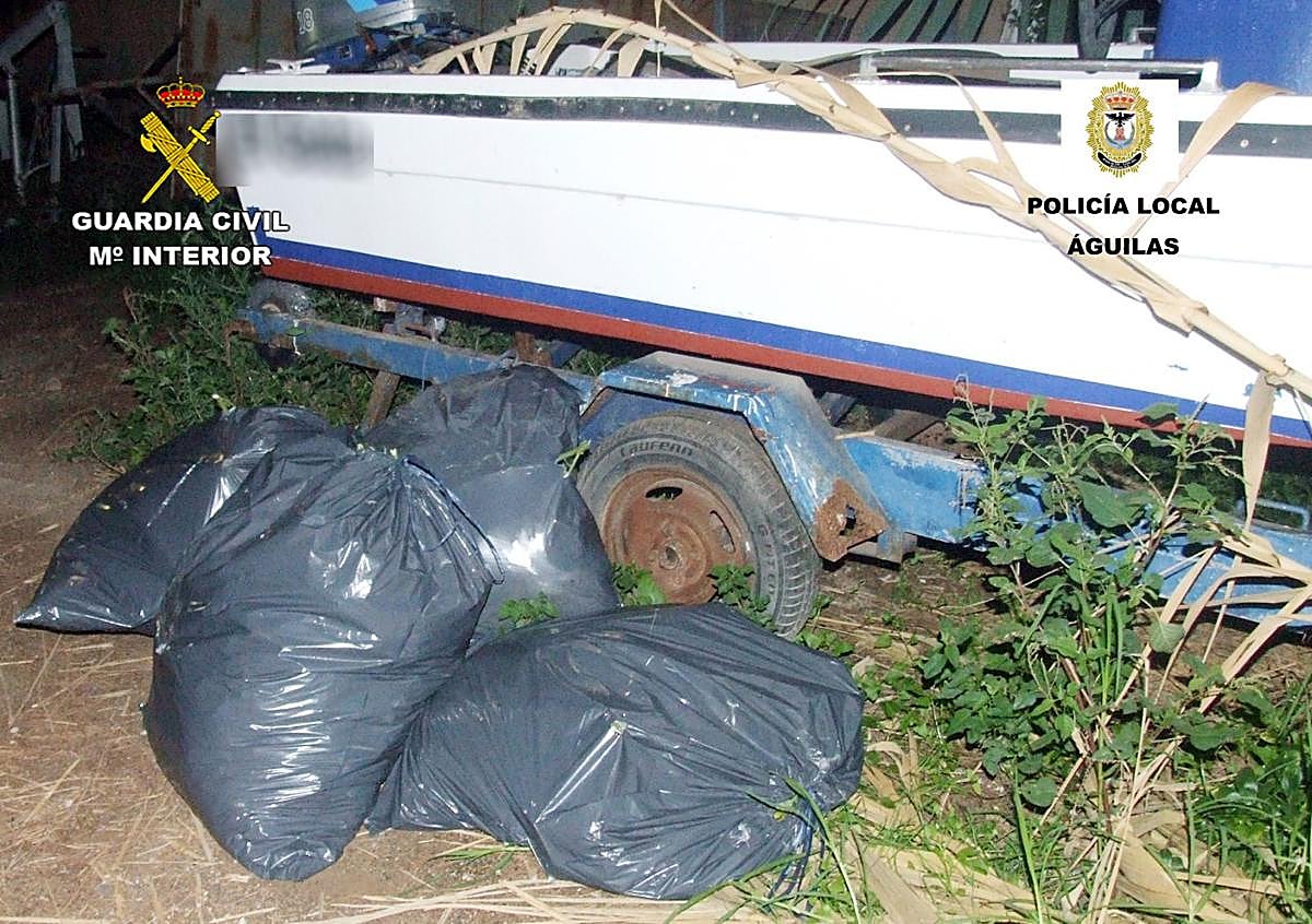 Imagen secundaria 1 - Desmantelan en Águilas dos invernaderos con más de 800 plantas de marihuana